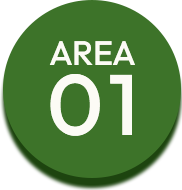 area01ボタン大
